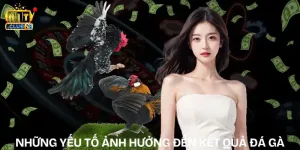nhung yeu to anh huong den ket qua da ga