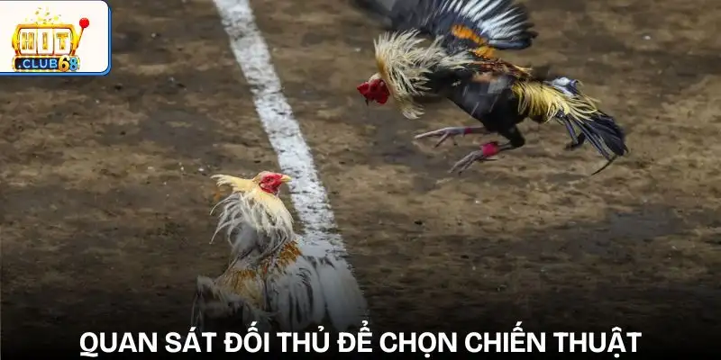 nhung yeu to anh huong den ket qua da ga theo doi doi thu de xay dung chien thuat hop ly nhung yeu to anh huong den ket qua da ga theo doi doi thu de xay dung chien thuat hop ly