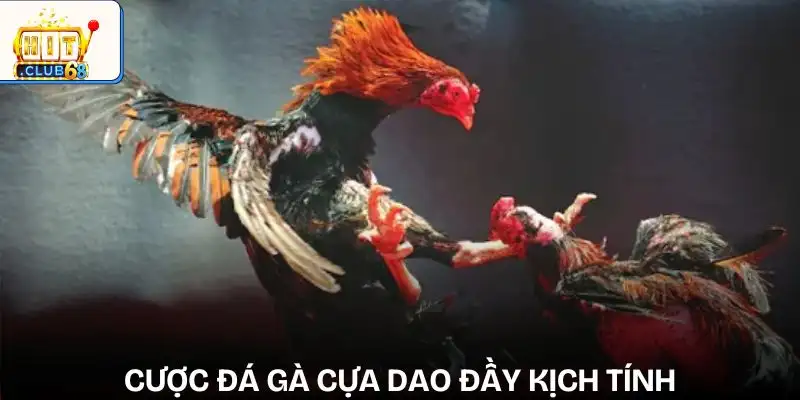 sanh cuoc da ga cua dao sanh cuoc da ga cua dao