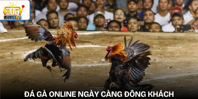 sanh cuoc da ga thu hut dong dao nguoi choi sanh cuoc da ga thu hut dong dao nguoi choi