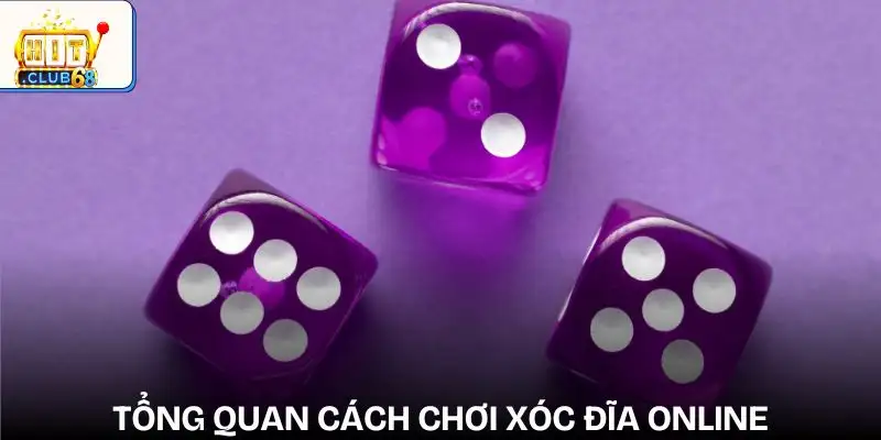 xoc dia online hoat dong nhu the nao tong quan xoc dia online hoat dong nhu the nao tong quan
